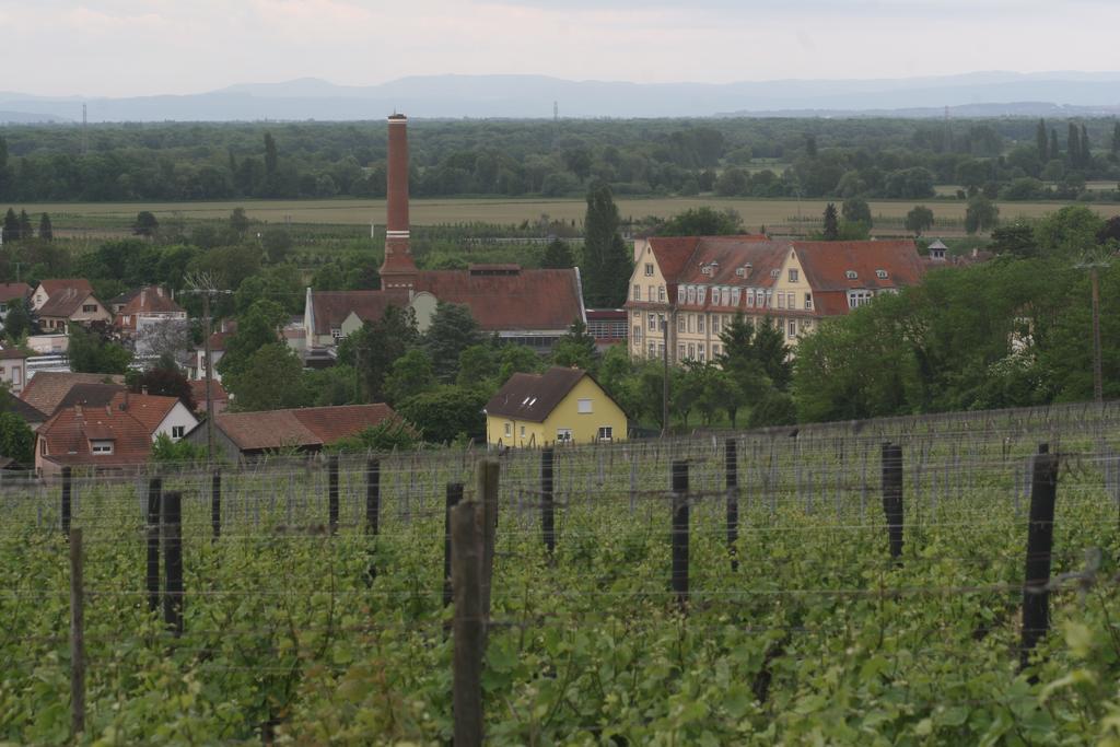 Gite Duplex Du Vignoble Alsace Rouffach Exterior photo